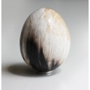 Bois Fossilis Oeuf