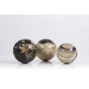 Bois Fossilis, Boule