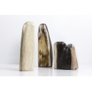 Bois Fossilis, Forme Libre