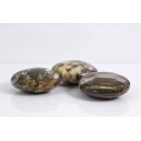 Bois Fossilis, Galet Calibr