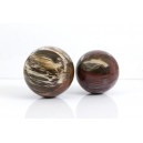 Bois Fossilis, Boule (Madagascar)